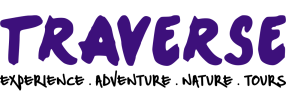 Riverbug Asia Logo